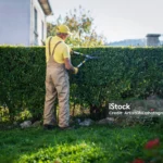 Arrêtez de minimiser quand vous voulez réduire